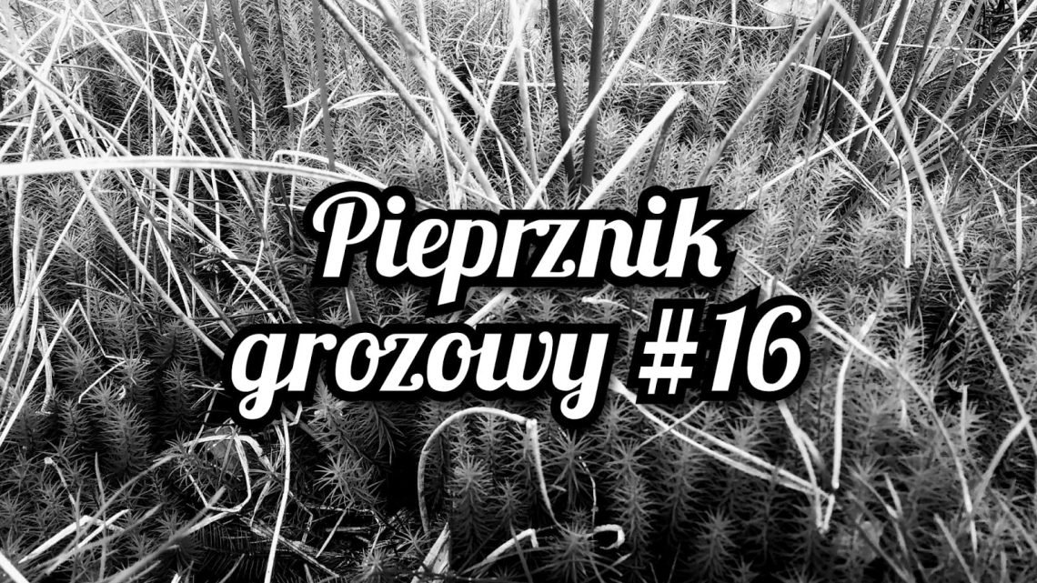 „Przełęcz Diatłowa. Tajemnica dziewięciorga”, „Rozmowy z seryjnymi mordercami”, „Leksykon dzikich kobiet” – te oraz inne ciekawe zapowiedzi w Pieprzniku Grozowym. „Przełęcz Diatłowa. Tajemnica dziewięciorga”, „Rozmowy z seryjnymi mordercami”, „Leksykon dzikich kobiet” – te oraz inne ciekawe zapowiedzi w Pieprzniku Grozowym.