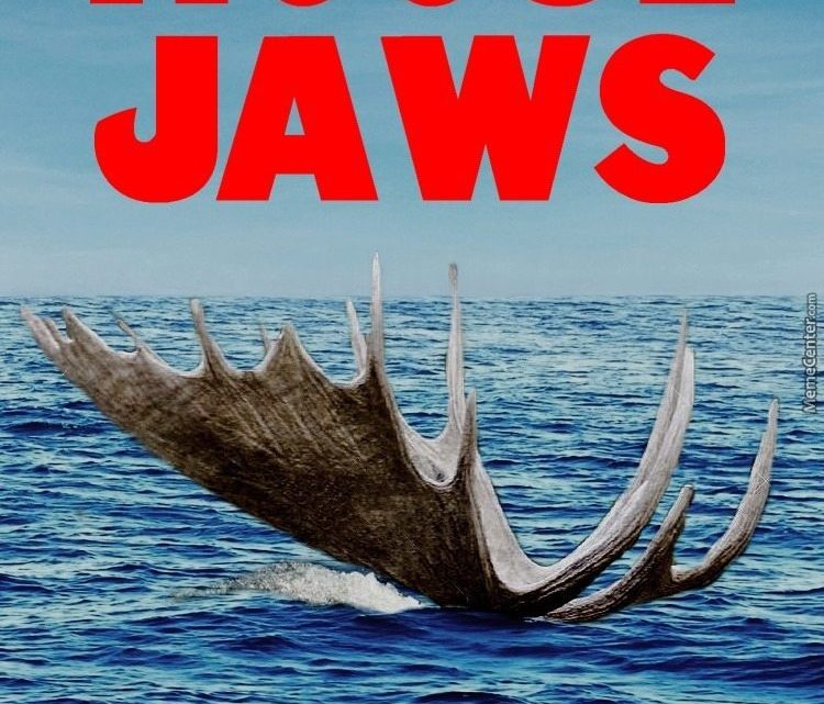 „Moose Jaws” jednak się ukaże. „Moose Jaws” jednak się ukaże.