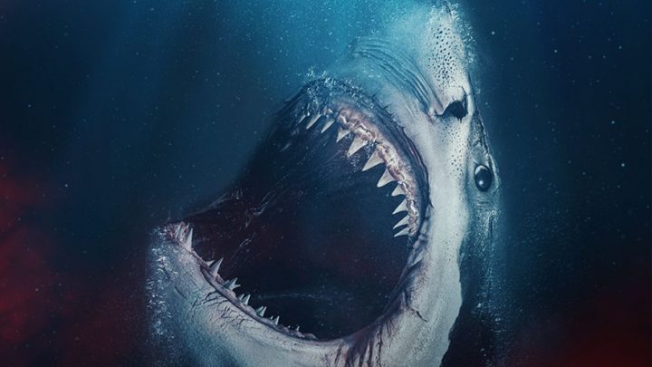 „The Requin” – animal horror z rekinami w roli głównej.